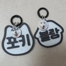 324 | 강아지 인식표 324스토어 3D네임택 내돈내산 솔직후기