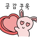 신풍미식당 이미지
