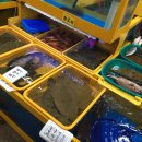 설악산네 이미지