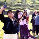 미래365연합의원 이미지