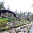 치유의 숲 야영장 이미지