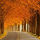 추월산로 이미지