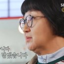 보고보고