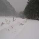 심스캐빈 이미지