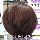 큐사랑(천연머리염색)