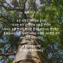 주식회사아바