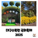 생각열매작은도서관 | 3대가 함께한 대구수목원 국화축제 2025 주말 방문 후기(개화상황, 주차팁, 숨은 명소 도서관추천)
