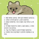 대곡2 | ✿대구 대곡연세의원 비만클리닉에 다녀온 후기(2)_다이어트약 2차 후기 | 정신과약 병행 중 실후기