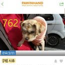 비포애프터 - 고양시 일산서구 탄중로 106 | 비포애프터