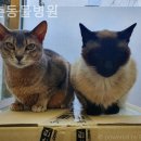 도촌동물병원 이미지