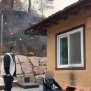 우복동 편백 펜션 | 경북 상주 독채펜션 애견동반 가족여행 추천 :: 우복동편백펜션