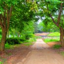 절골체육공원 이미지