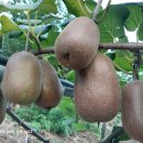 한실농장 이미지