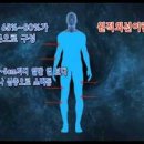 향누리 네이버블로그