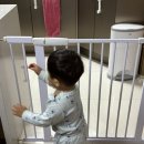 김*리 | 4살도 절대 못 여는 철벽 방어 비더프리 안전문 솔직 후기