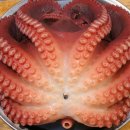 중앙신시장 티스토리