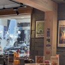 거북이의 꿈 이미지