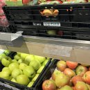 유화청과 이미지