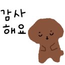 아이몽 애견 유치원 이미지