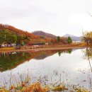 경안천습지생태공원 이미지