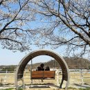 소정면사무소 이미지