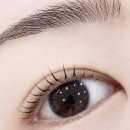 백석역3번출구 | 고양 백석 속눈썹펌 추천 | 출근 준비 시간 줄이고 광명찾은 찐후기 .. ✨👀 <포유브로우>