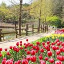 경상남도 수목원 이미지