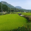 장단보건진료소 이미지