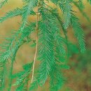 신상계초교 이미지