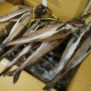 영광상회 이미지