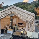 비타민 팜 오토캠핑장 이미지