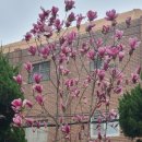 북부산등기소 이미지