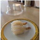 스시거제