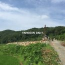 금성지하수