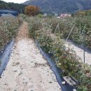 대룡산해맞이마을 이미지