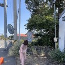 제주도게스트하우스 유로민박 이미지