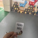 더솔펜션 | 강원도 고성 백도해수욕장과 가까운 더솔펜션 가족휴가 방2개 화장실 2개 추천 찐 후기