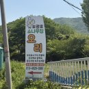파주 광탄면 오리 맛집,보광로 소나무집 내돈내산 몸보신 후기