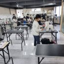 우리집강아지 애견미용 이미지