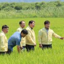 45 매일일보