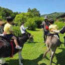 해누리어린이집 이미지