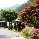 미끄라트 이미지