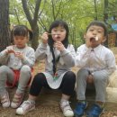 청미래약국 이미지
