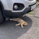 강화도 카페 추천 조양방직 너무 예뻤던 곳:)