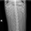 원진동물병원 이미지