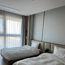 소노펠리체 델피노 이미지