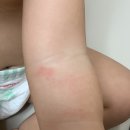 이오시아 - 안성시 중앙2길 20 | 아기 유산균 /신생아 변비에도 좋은 바이오시아 인판티스 액티브 프로바이오틱스