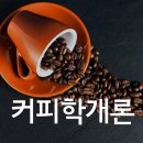 커피학개론