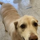 살롱드 베베 이미지