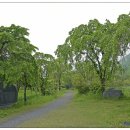 화인공원 이미지